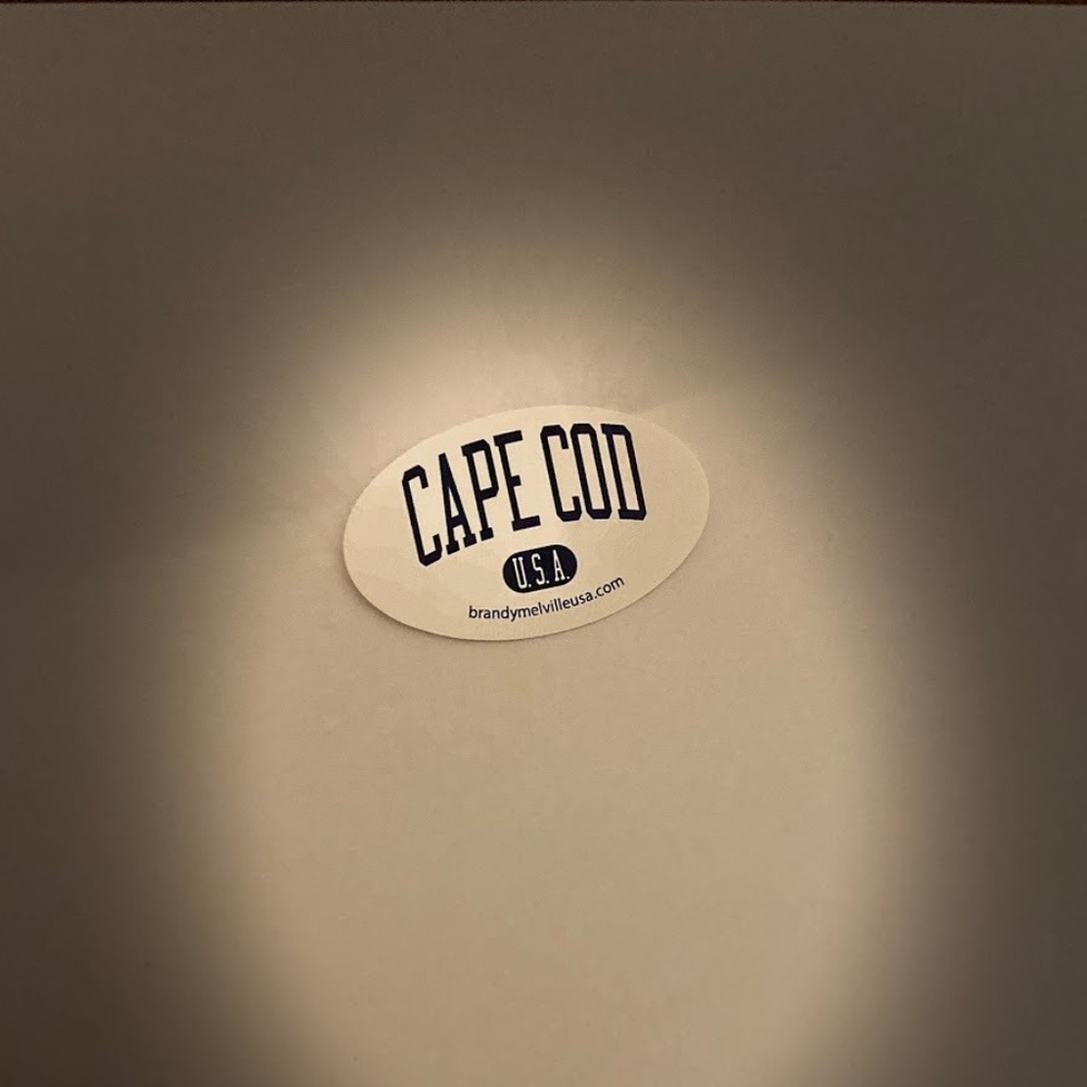 3 Brandy Melville Stickers!